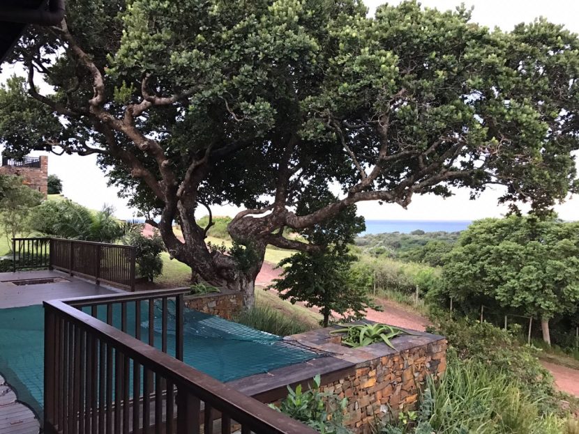 Port Edward 3 26 830x623