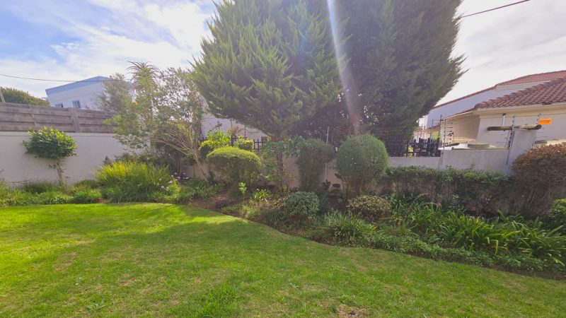 Plettenberg Bay 94 (14)