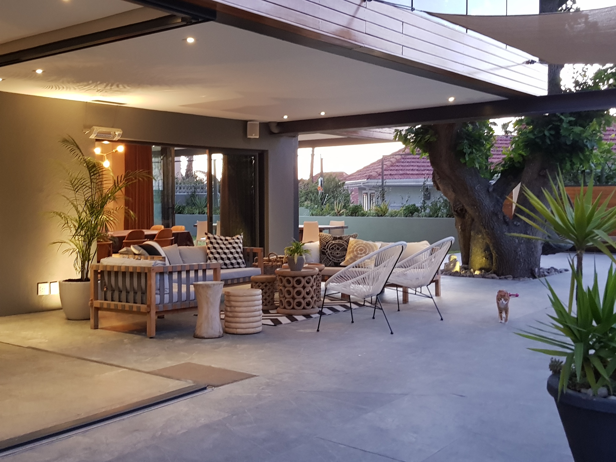 Cape town 23 (25)