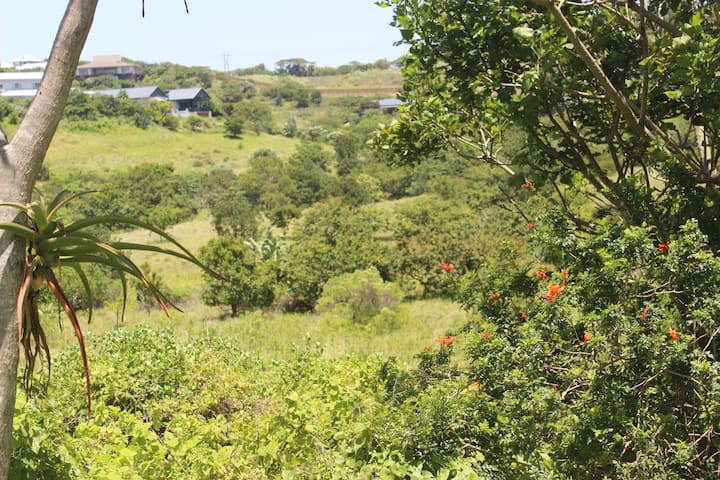 Simbithi 1 (2)