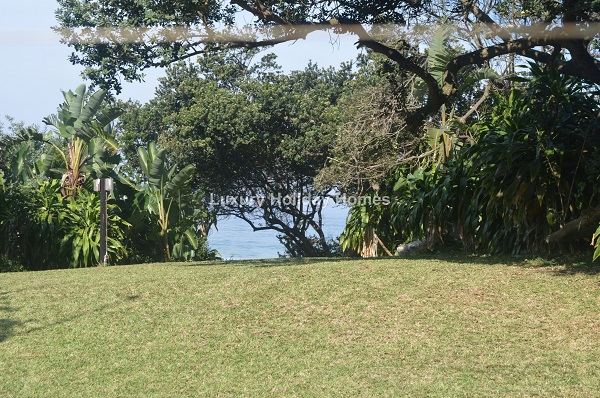 Dsc 0737