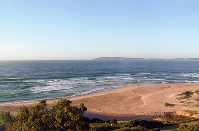 Plett018