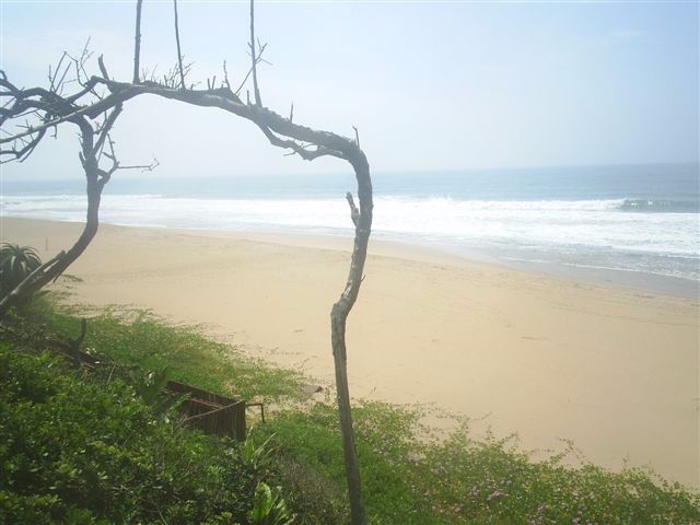 Blythedale 1 (1)