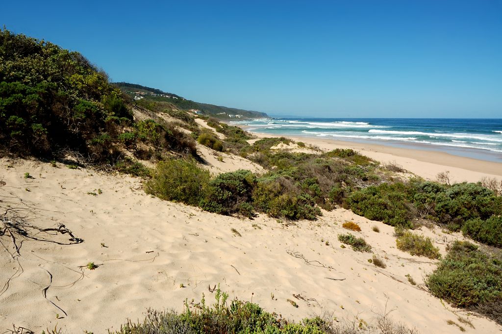 Plettenberg Bay 17 (13)