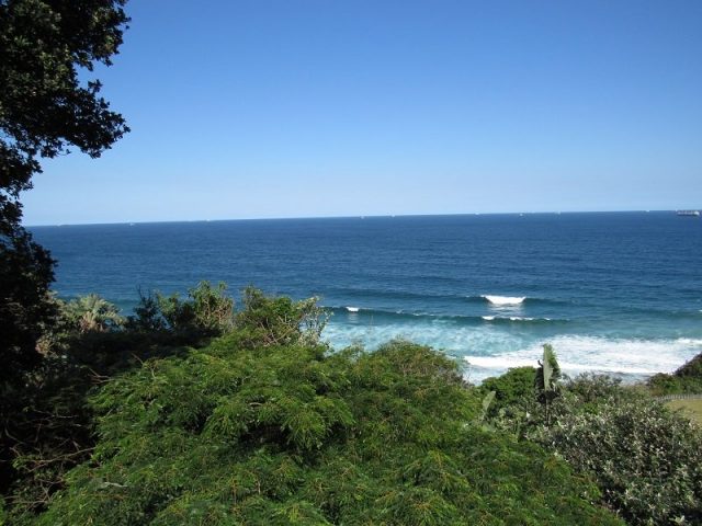 Umdlothi 9 (7)