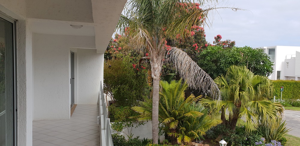 Plettenberg Bay 20 (29)