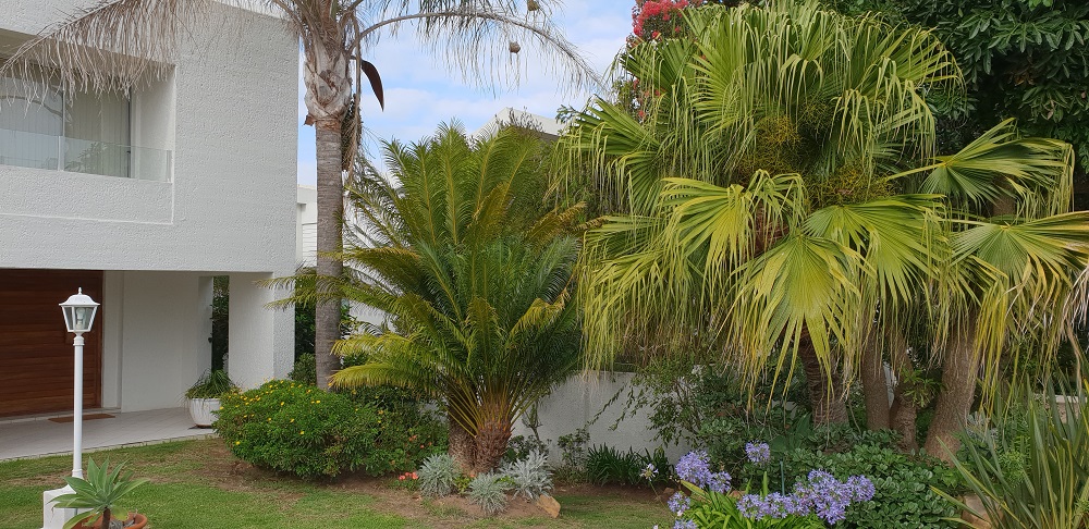 Plettenberg Bay 20 (42)