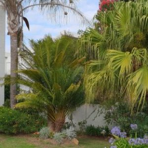 Plettenberg Bay 20