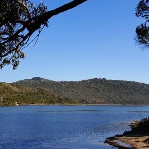 Sedgefield 5