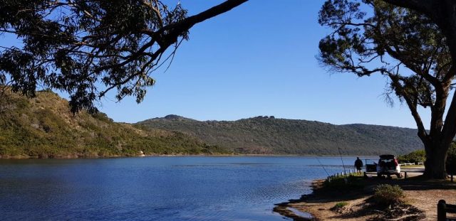 Sedgefield 5