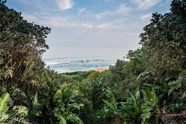 Zimbali 40 (4)