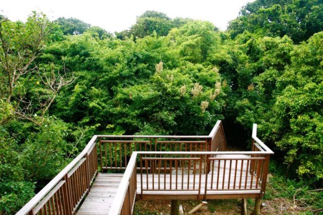 Zinkwazi Beach 5 (12)