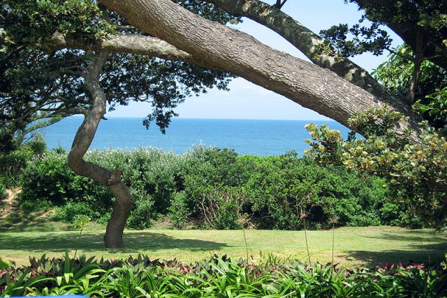 Zinkwazi Beach 3 Zinkwazi Beach 3