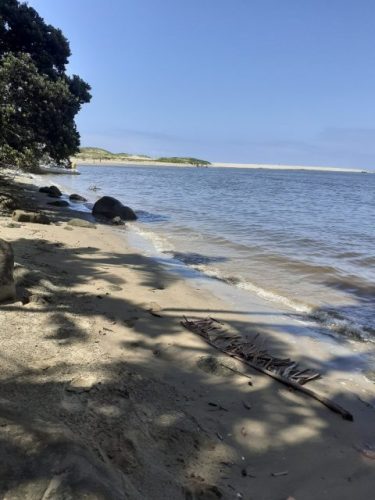 Port Edward 9