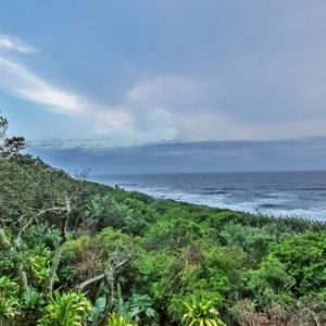 Zimbali 42