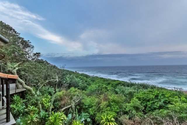 Zimbali 42 Zimbali 42