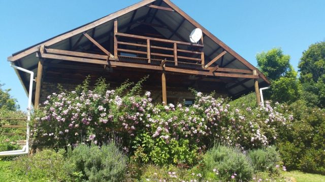 Plettenberg Bay 44 13 Scaled