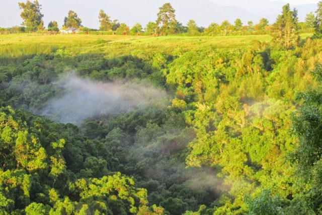 Plettenberg Bay 44 15 Scaled