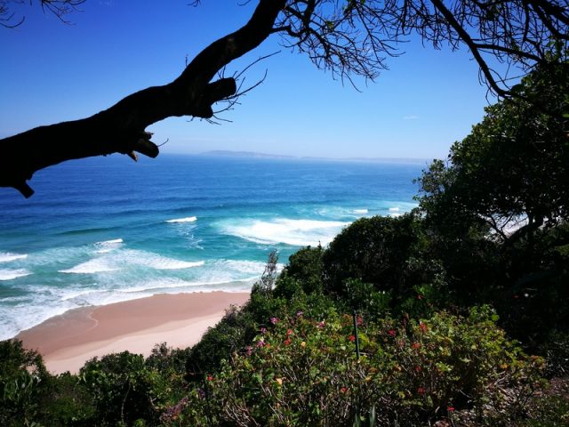 Plettenberg Bay 45 10 Scaled