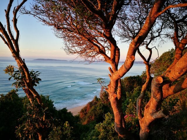 Plettenberg Bay 45 9 Scaled