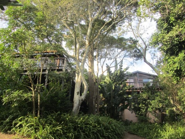 Plettenberg Bay 46 2 Scaled