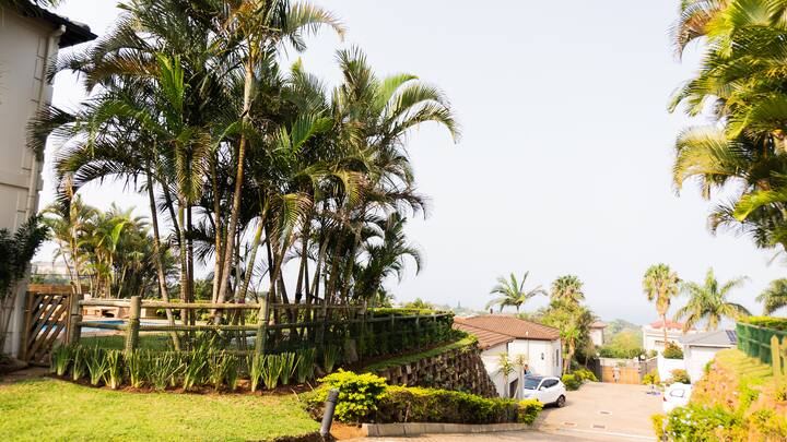 Ballito 50 (13)