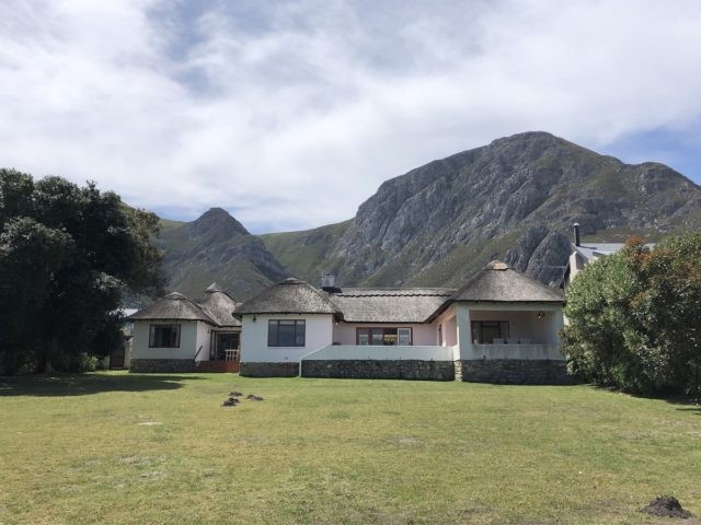 Hermanus 6