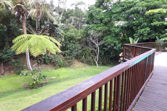 Salt Rock 20 12 Scaled