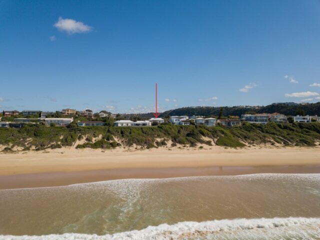 Plett 61 5 Scaled