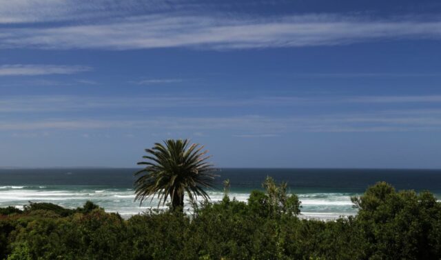 Hermanus 23 3 Scaled