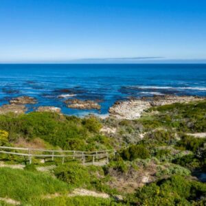 Hermanus 43 2 300x300