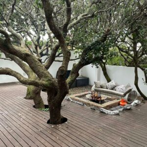 Hermanus 45