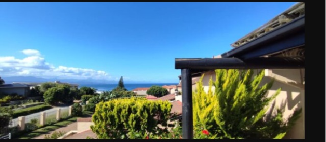 Plett 16