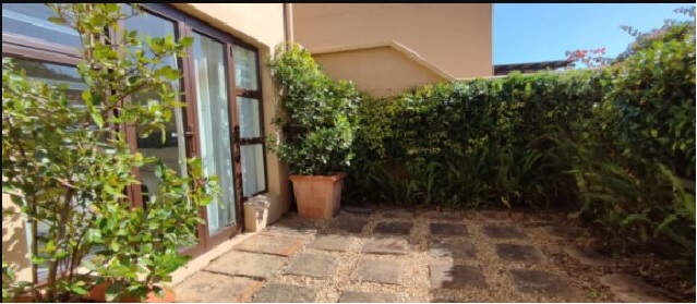 Plett 17