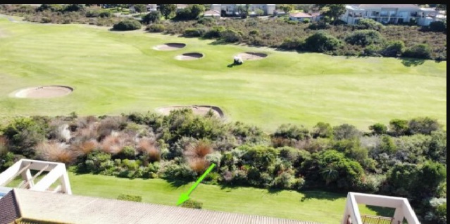 Plett 18