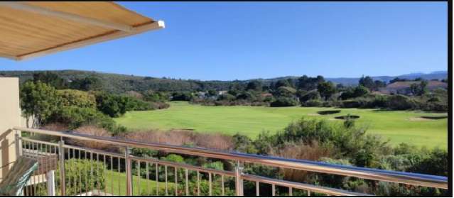 Plett 19