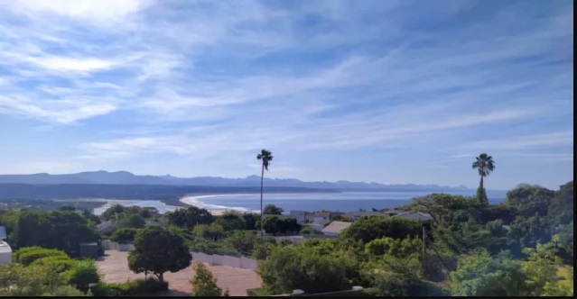 Plett 22