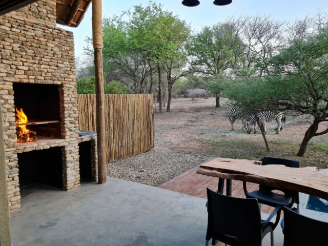 Bushveld 1 3 Scaled