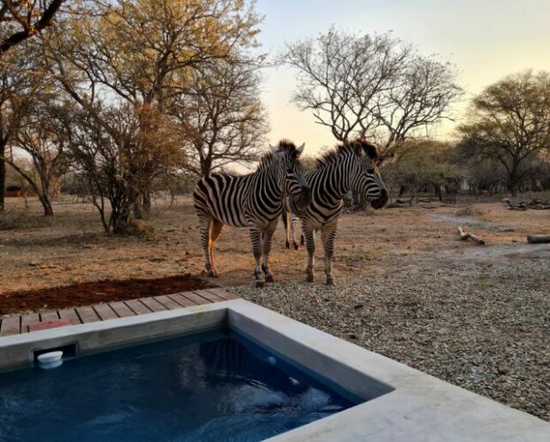 Bushveld 1 4 Scaled