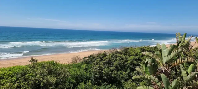 Ballito 60 (2)