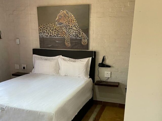 Bushveld 11 2 Scaled