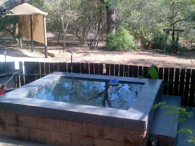 Bushveld 2 3 2 Scaled