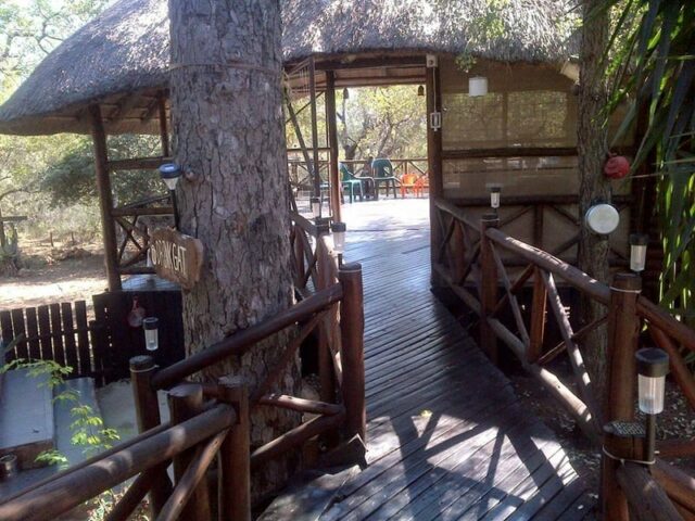 Bushveld 2 5 1 Scaled