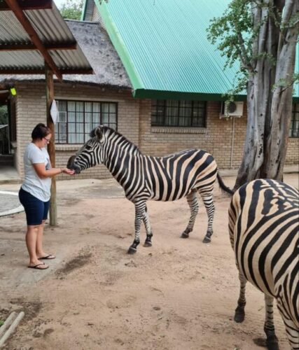 Bushveld 3 4 Scaled