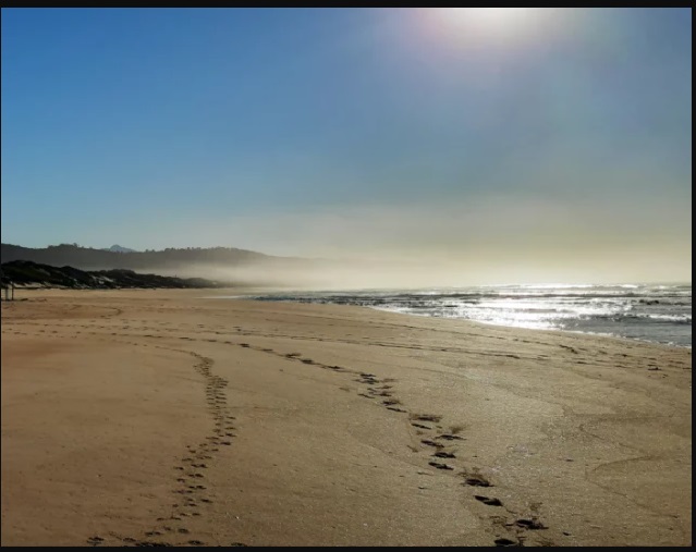 Plett 23