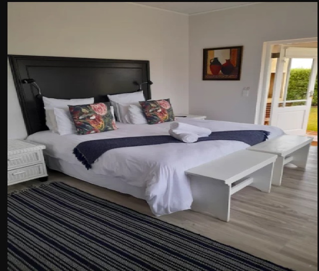 Plett 11