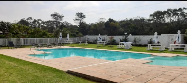 Plett 21