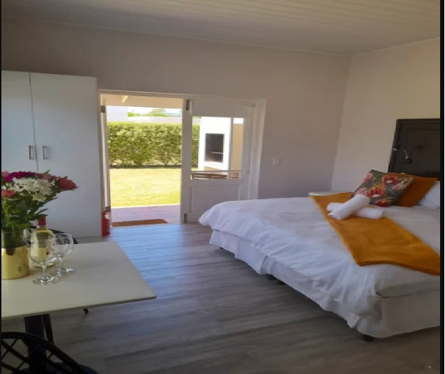 Plett 8