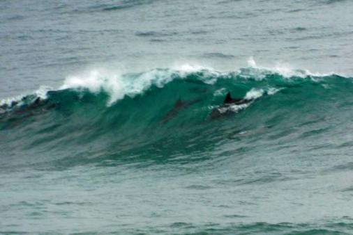 Port Shepstone 10 1