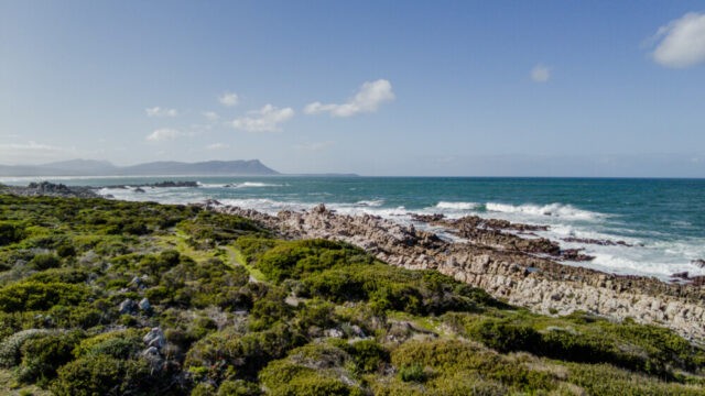 Hermanus 67 2 Scaled
